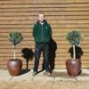 x2 Potted Standard Olive Trees 170 120 (2)